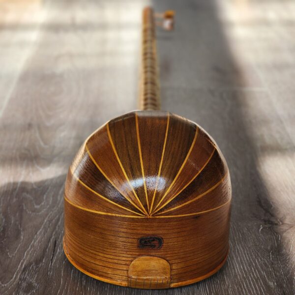 Iranian setar instrument with hard case
