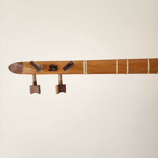 Iranian setar instrument with hard case