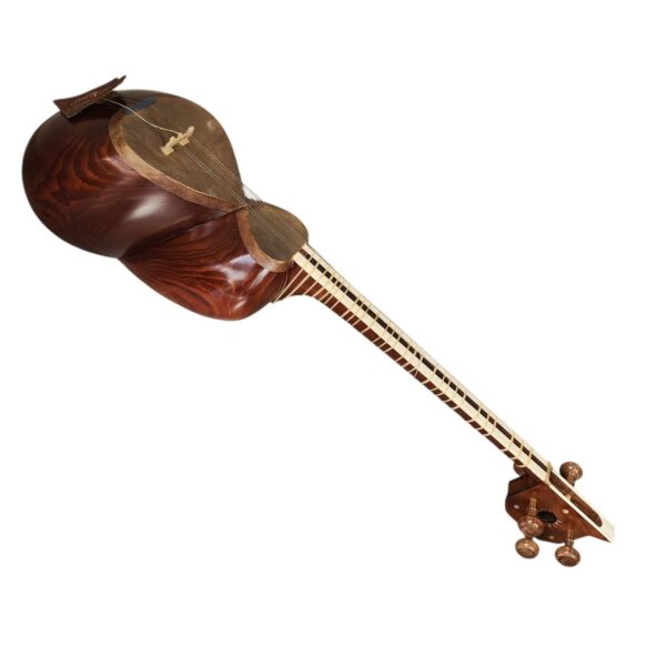 Iranian Tar instrument