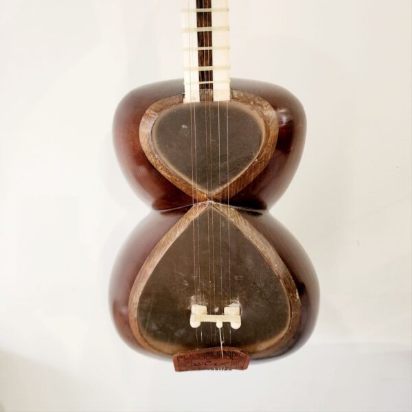 Iranian Tar instrument with hard case