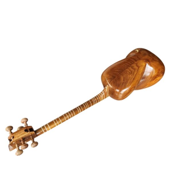 Persian Tar instrument