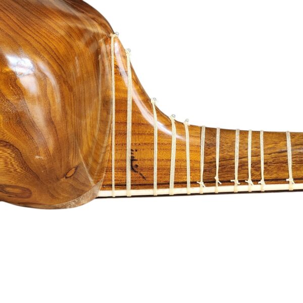 Iranian Tar instrument