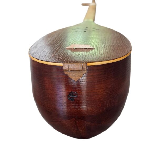 Persian Tanbour Australia