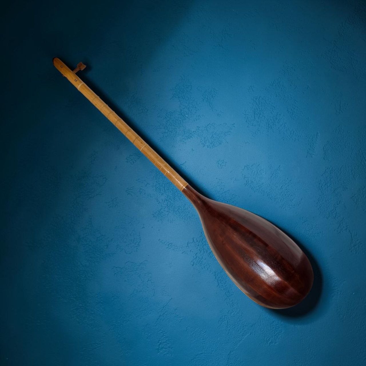 Persian Tanbour by Davood Mofakher Meftahi