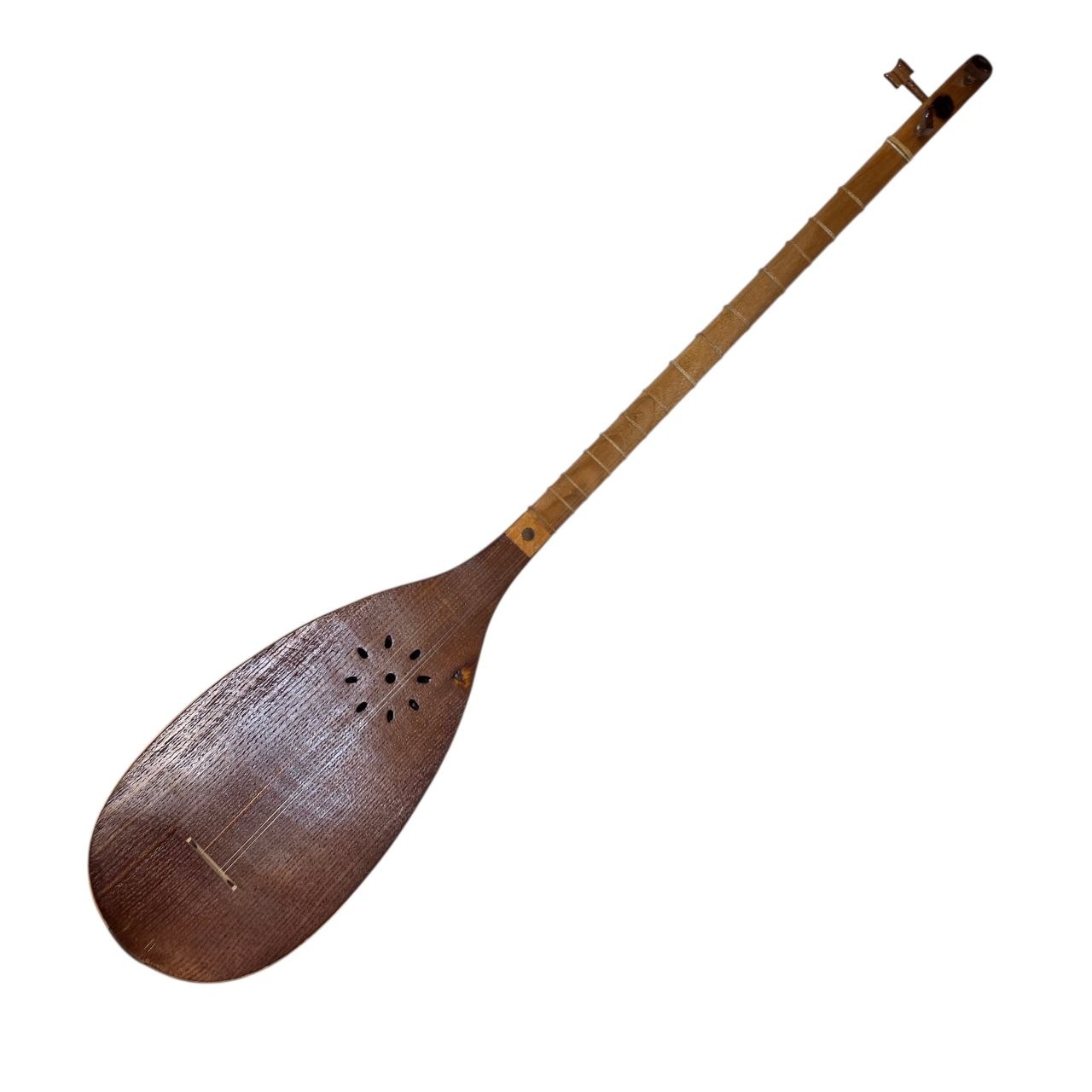 Persian Tanbour by Davood Mofakher Meftahi